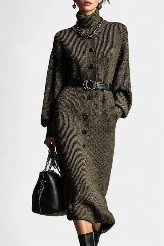 Orianna Turtleneck Casual Knit Dress